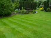 Green King 4 M Anadolu