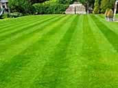 Green King 4 M Power