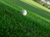 Green King 5M Advantage