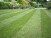 Green King 7M Special