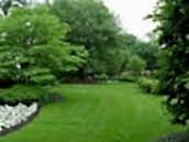 Green King 3M Street